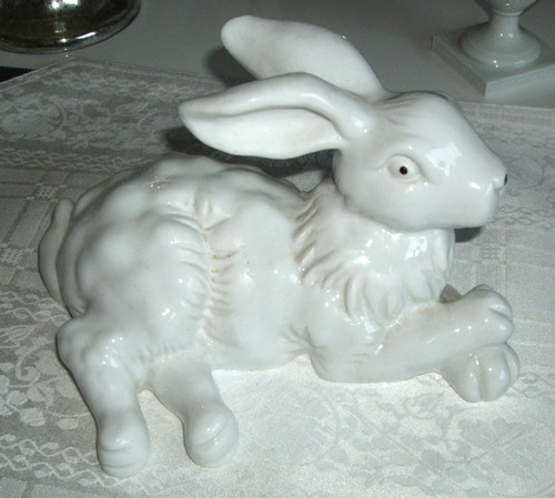 Coniglio bianco - coniglio/coniglio,