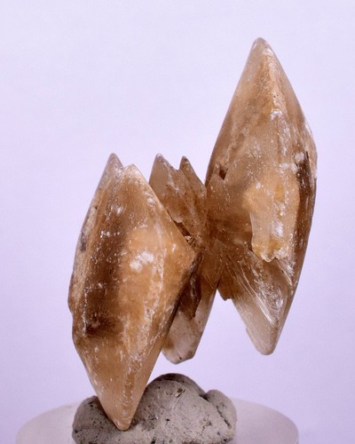 Moneta dollaro selenite - moneta, cm