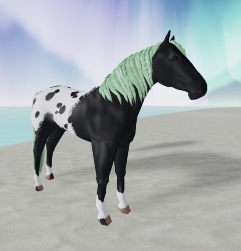 Wild horse islands - horse,