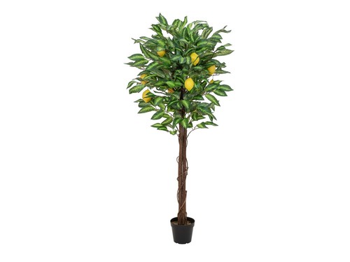 Pianta artificiale limone - pianta,