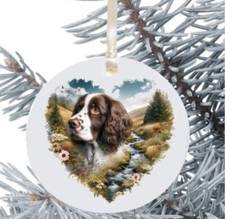 Springer Spaniel Palla da