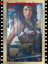 🔥 Hot Toys MMS698 WB100