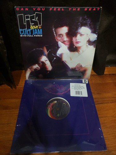 Lot freestyle vinyl records - freestyle,