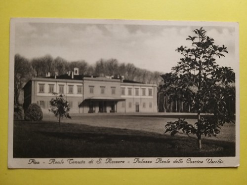 Pisa reale tenuta - reale, san