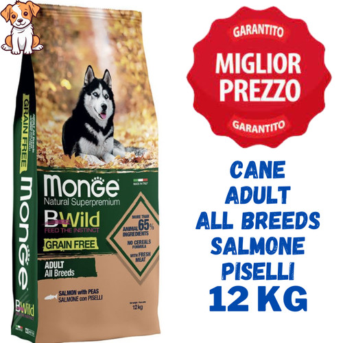Monge bwild cane - monge, adult