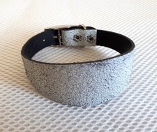 CUCCIOLO LEVRIERO/WHIPPET