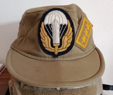 Norvegese Pará Alpini