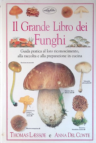 Grande libro dei funghi - libro,