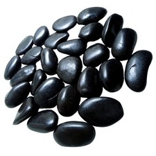  Sassi Per Acquario Ciottoli