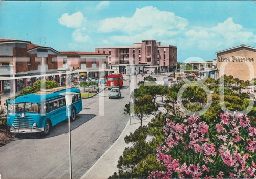 Bibione pineda baseleghe - -,