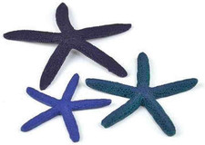 Decorazione per Acquario