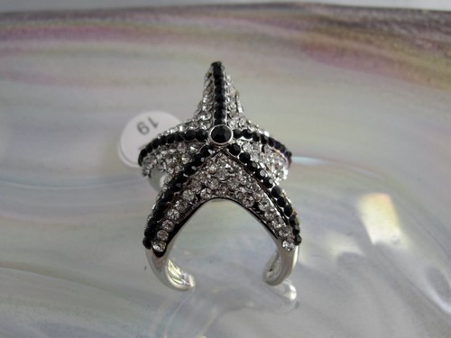 Nobile brillante stella marina - stella,