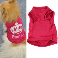 Maglia per pincher chihuahua