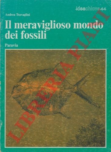 Travaglini andrea il - travaglini,