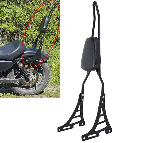 Detachable passenger sissy bar - detachable,
