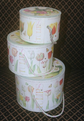 Hallmark marjolein bastin - marjolein,
