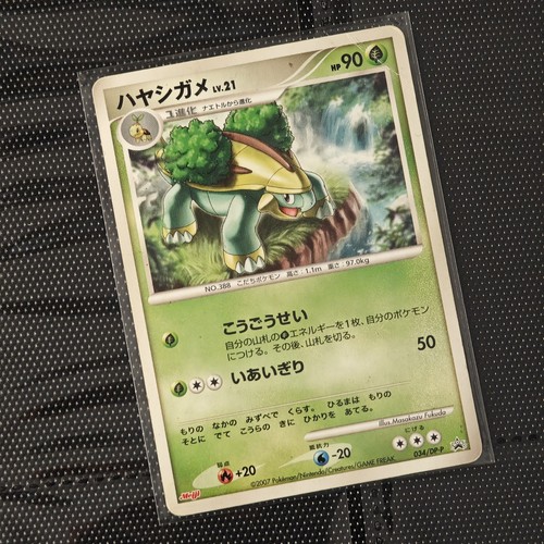 Carte pokemon grotle - carte, black