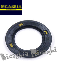 5399 - PARAOLIO RUOTA