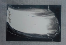 nerone terzi  SMALTO SU TELA 30x20  