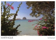 DOM-TOM-MARTINIQUE LE