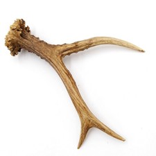 Asta Di Ricarica Lunghezza 21