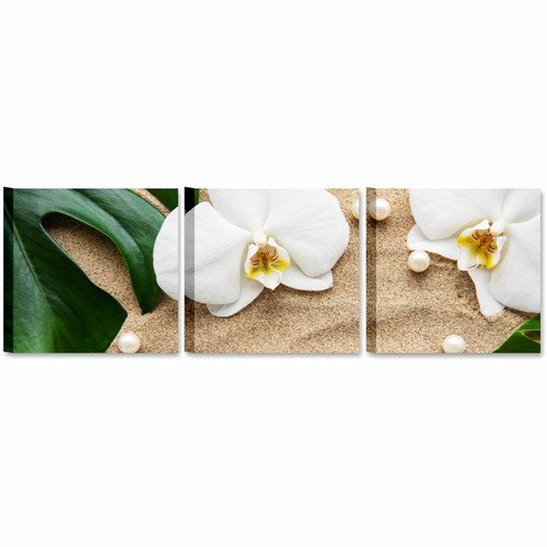 Tris orchidea bianca quadro - orchidea,