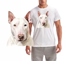 Miniature Bull Terrier Quality