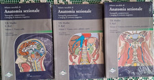 MOELLER REIF ATLANTE TASCABILE