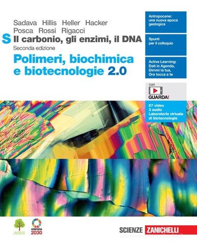 Carbonio gli enzimi il - gli,