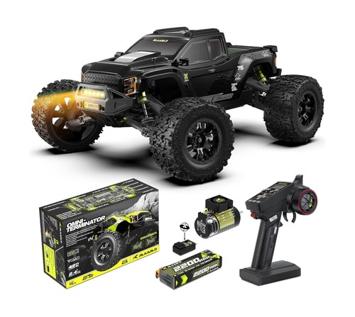 Riaario brushless rc - 1/10,