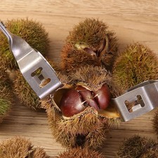 Pinza per castagne, apri