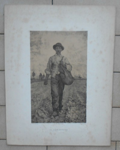 Carlo pollonera seminatore - il,