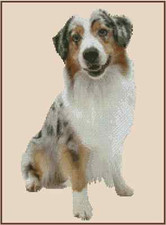 Australian Shepherd Dog