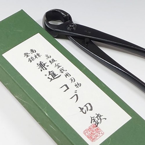 Tronchese sferico per bonsai