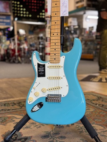 Fender player stratocaster - player,