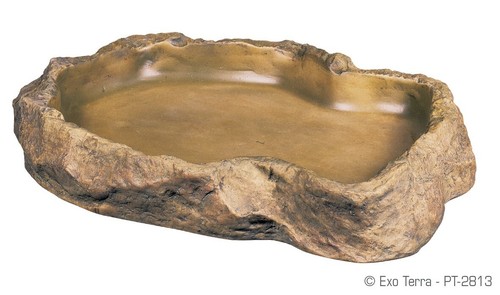 Exoterra feeding dish large - feeding,