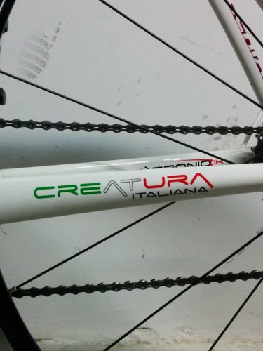 Bottecchia spirito competitivo - bottecchia,