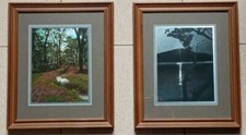 Coppia di Quadri Stampe su