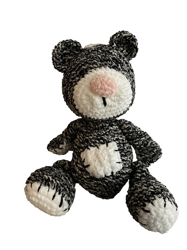 Teddy bear stuffie - bear,
