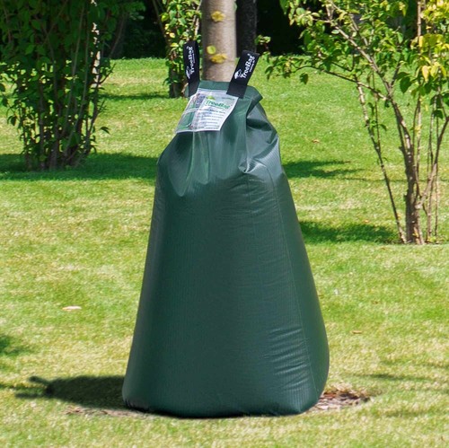 Treebag sacco irrigazione - treebag,