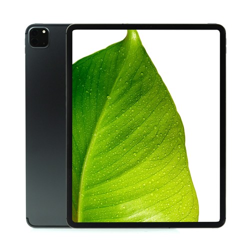 Apple ipad pro generazione - apple, 5a