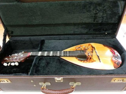 Mandolino rafeaele calace - mandolino,