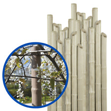 TUTORE CANNA EFFETTO BAMBU IN