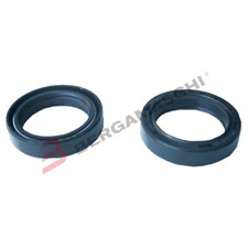 KIT PARAOLI PER FORCELLE 2