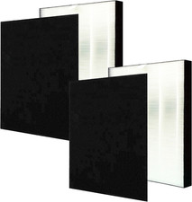2 Filtri HEPA FU-21SE per