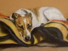 FINE ART STUDY JACK RUSSELL