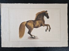 La Roche Laffitte 1943