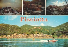du923 cartolina pisciotta