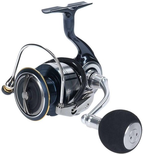 Mulinello spinning daiwa - spinning, 19