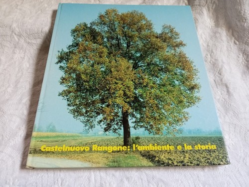 Castelnuovo rangone - castelnuovo,